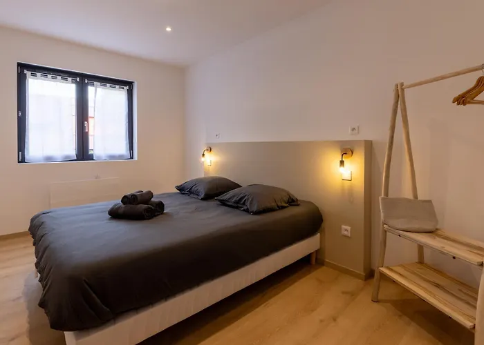 La Palmeraie - Strasbourg - Suite Elegante & Terrasse - Parking Gratuit *