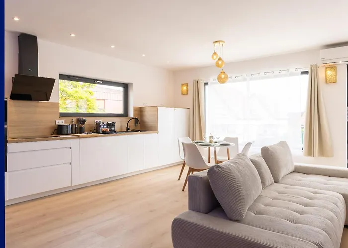 La Palmeraie - Strasbourg - Suite Elegante & Terrasse - Parking Gratuit Διαμέρισμα Mittelhausbergen
