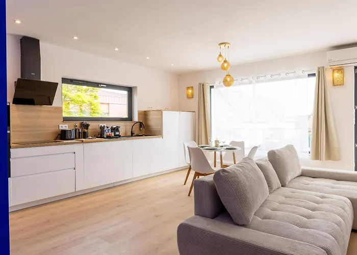 Διαμέρισμα La Palmeraie - Strasbourg - Suite Elegante & Terrasse - Parking Gratuit